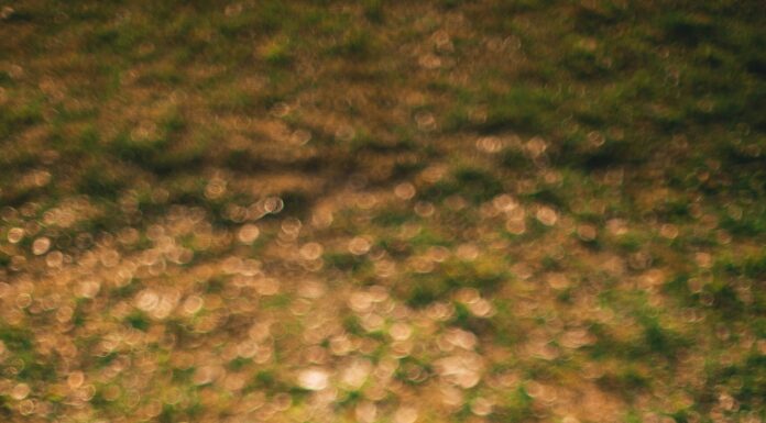 Unlocking Career Opportunities: A College Student’s Guide to Digital Marketing Skills A person laying down reading a digital marketing book.