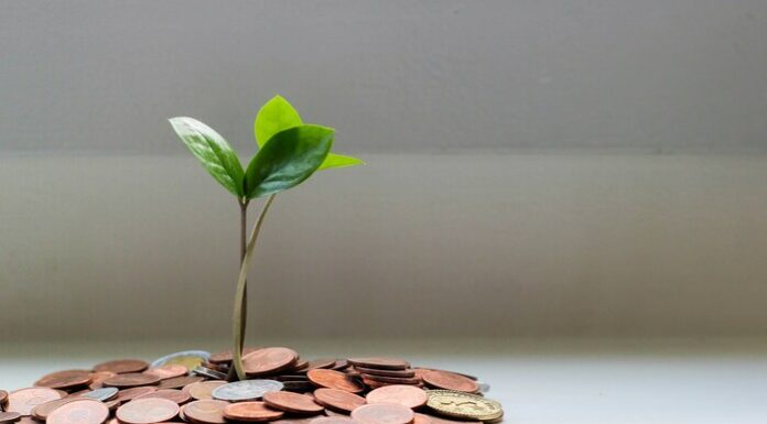 Mastering Financial Literacy: Essential Tips for College Students