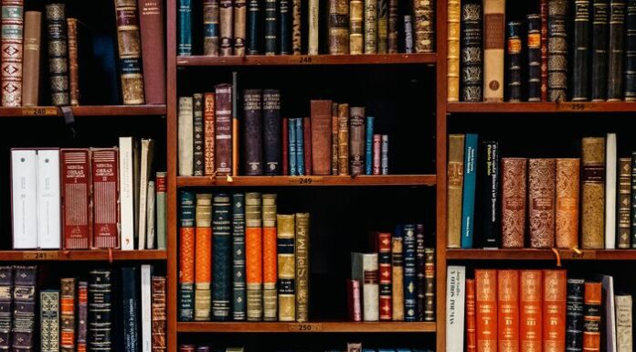 Mastering Your Literature Review for a Thesis or Dissertation