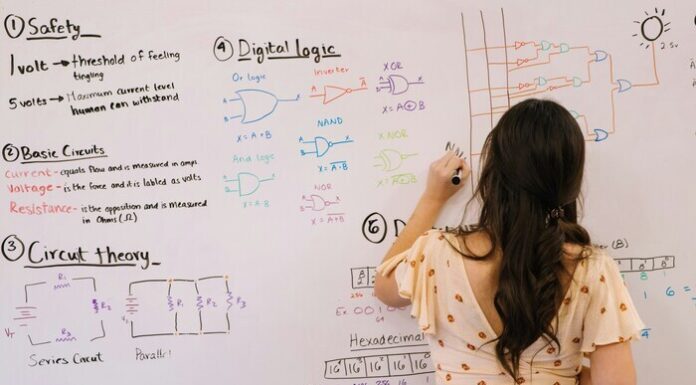 Understanding STEM: Its Importance and Impact on Higher Education and Careers in 2024