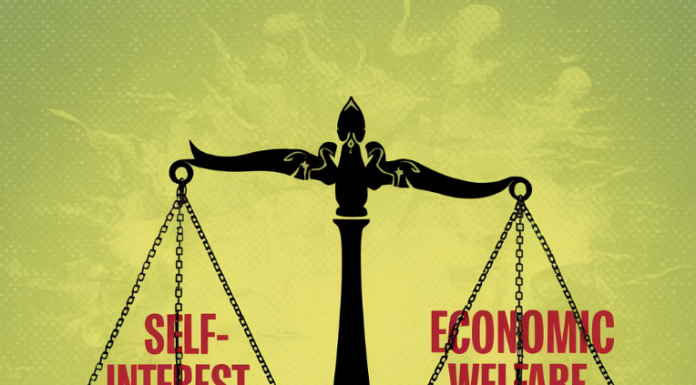 What is Public Choice Theory?