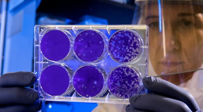 Unlocking the Potential of a Biophysics Degree: Opportunities, Benefits, and Challenges Explored